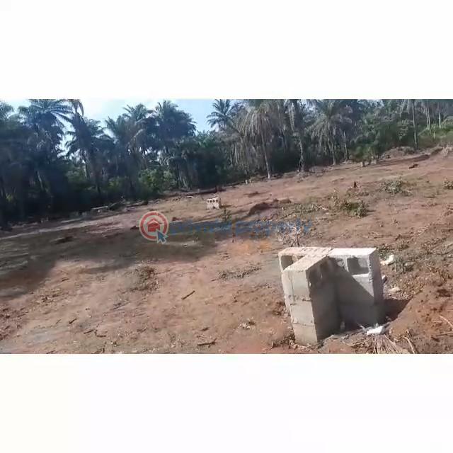 For sale Land Oak Haven Estate Ibusa Asaba Asaba Delta (PID 8PAULV