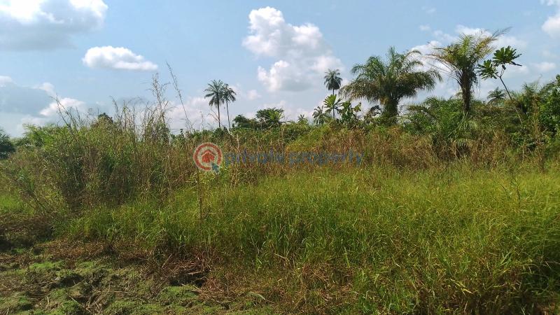 Mixed use Land For Sale Behind Agudama New Market, Agudama Epie, Yenagoa, Bayelsa State. Yenegoa Bayelsa - 1