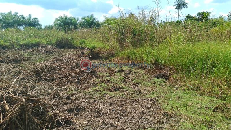 Mixed use Land For Sale Behind Agudama New Market, Agudama Epie, Yenagoa, Bayelsa State. Yenegoa Bayelsa - 0