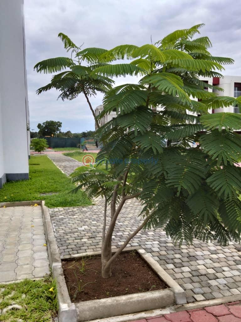 Industrial Land For Sale Alaro City Free Trade Zone Ibeju Lekki Lagos Ibeju-Lekki Lagos - 14