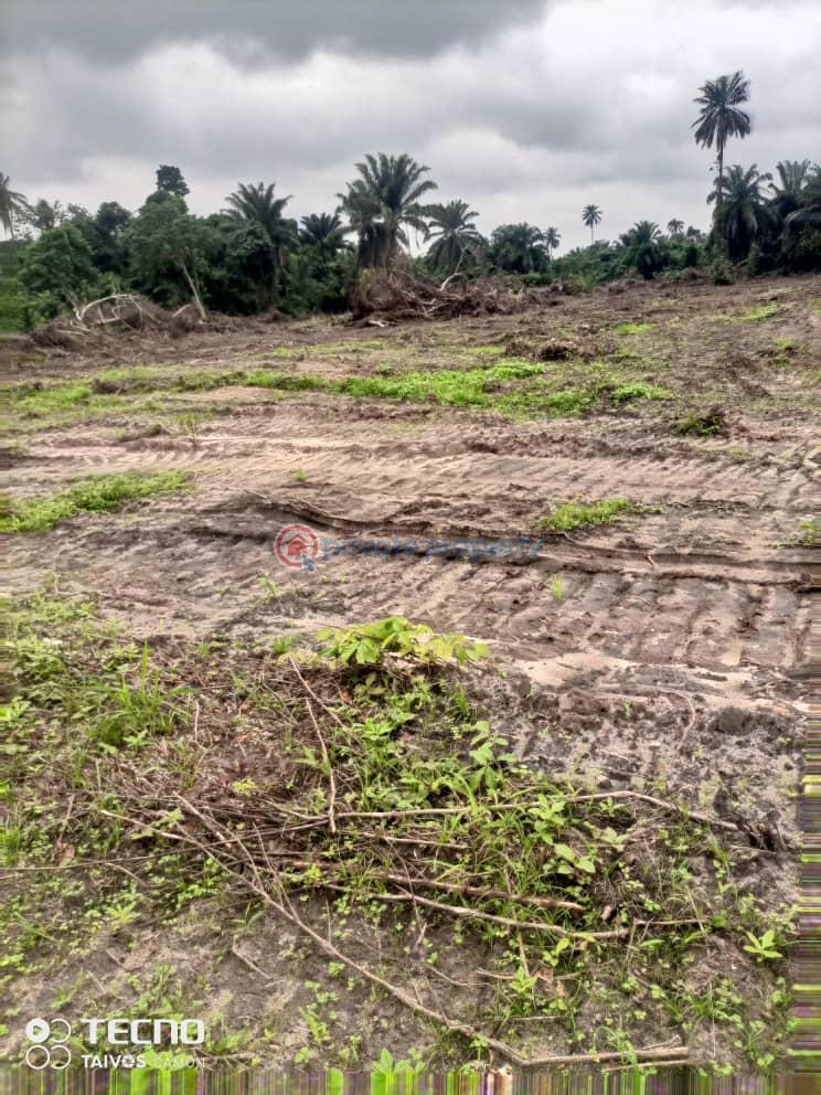 Warehouse For Sale Oshodi Lagos