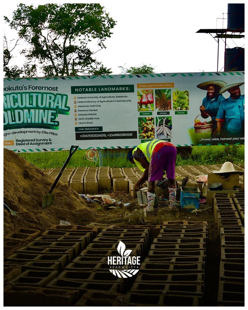 Industrial Land For Sale In Close Proximity To Funnab. Alabata Abeokuta Ogun - 9