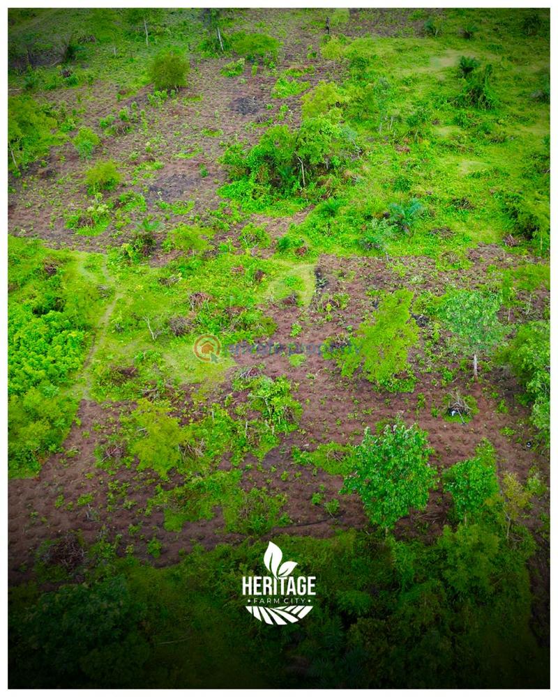 Industrial Land For Sale In Close Proximity To Funnab. Alabata Abeokuta Ogun - 12