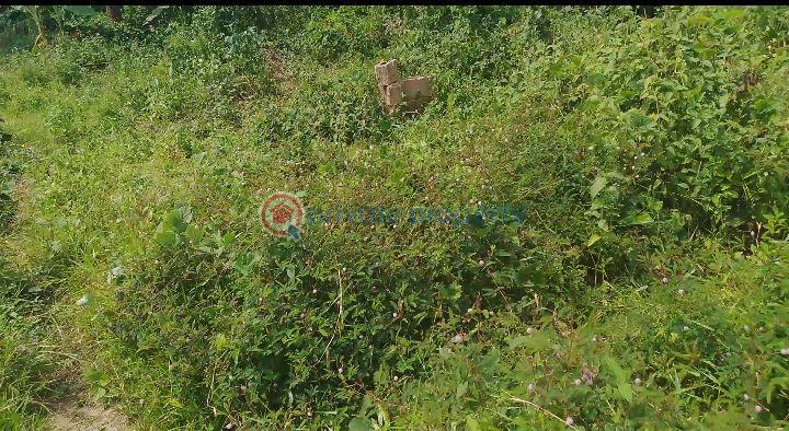 Residential Land For Sale Flourish City Estate, Bayelsa Palm Road, Otuoke Dual Carriageway, Yenagoa Yenegoa Bayelsa - 1