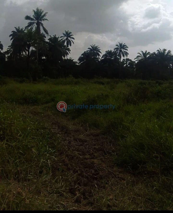 Residential Land For Sale Flourish City Estate, Bayelsa Palm Road, Otuoke Dual Carriageway, Yenagoa Yenegoa Bayelsa - 0