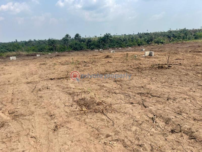 Mixed use Land For Sale Bliss Garden Estate Located At Umo Epe This Estate Is Situated For Residential And Commercial Selling Fast Epe Lagos - 0