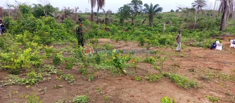 Land For Sale Ini Residential Is An Eco Friendly Estate That Aims To Maintain The Biological Features Of The Environment Through A Mixture Of Eco Friendly Practices, Flexible Payment Plans Available Up To 6months With Zero (0) Interest Free Epe Lagos - 2