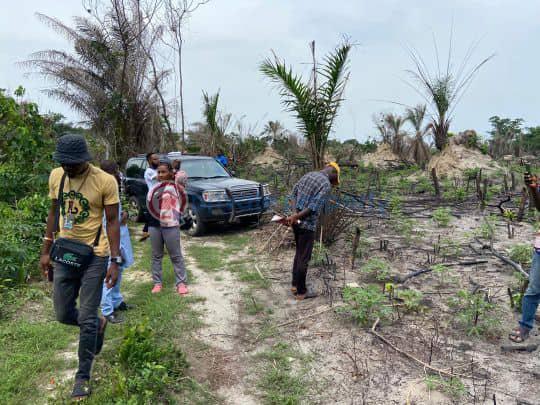 Residential Land For Sale Eleran Igbe Ibeju-Lekki Lagos - 3