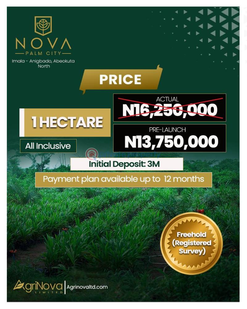 Commercial Land For Sale Imala Anigbado Oyo  - 4