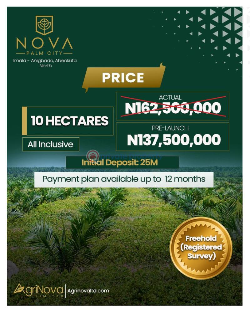 Commercial Land For Sale Imala Anigbado Oyo  - 3