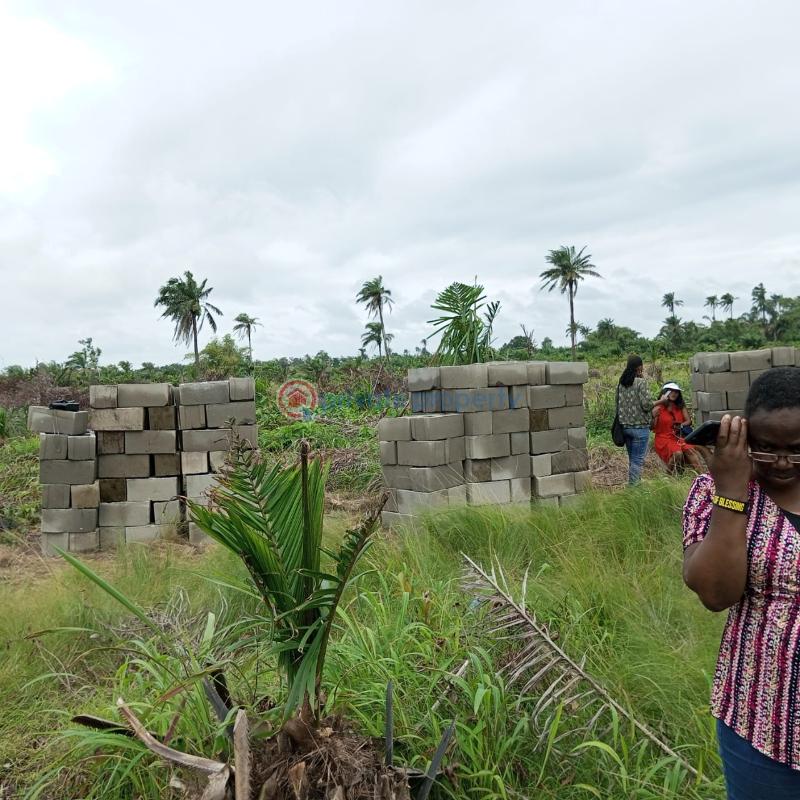 Residential Land For Sale Ibeju-Lekki Lagos - 5