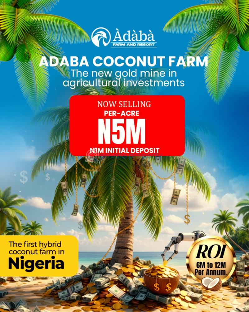 Commercial Land For Sale Ajebo Obafemi Owode Ogun - 5