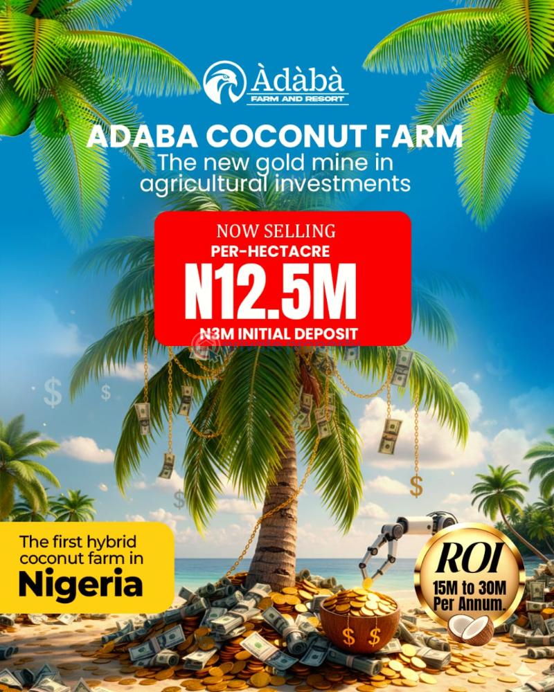 Commercial Land For Sale Ajebo Obafemi Owode Ogun - 6