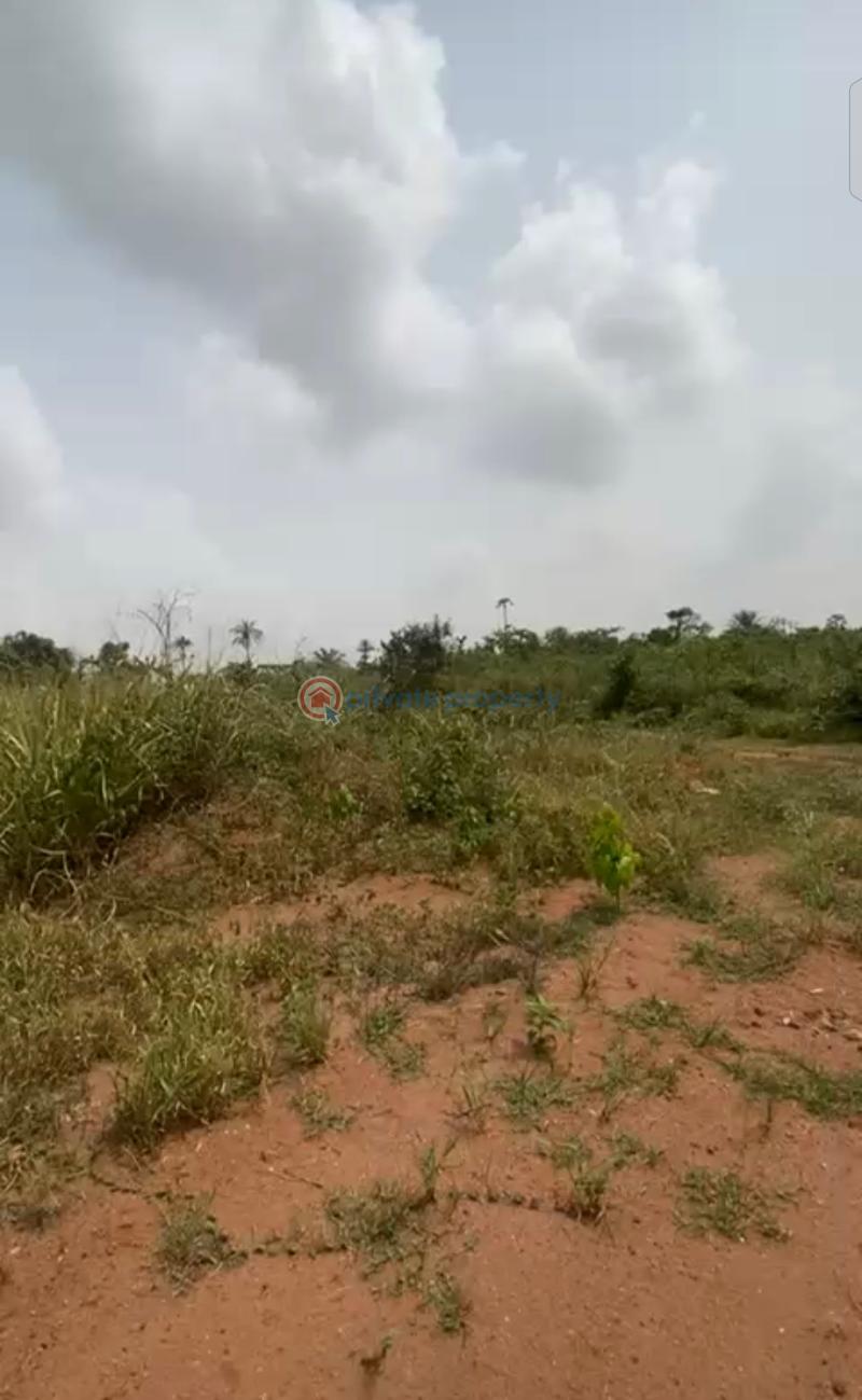 Mixed use Land For Sale Newton Estate Near Aliko Dangote University Wudil Town Kano Area  - 1