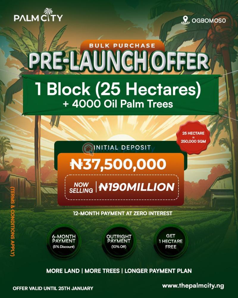 Commercial Land For Sale Palm City Ogbomosho Oyo  - 2