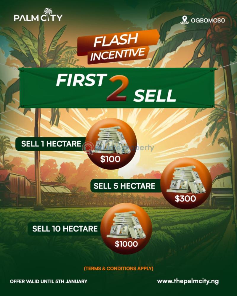 Commercial Land For Sale Palm City Ogbomosho Oyo  - 6