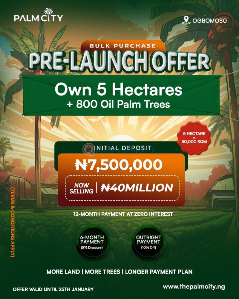 Commercial Land For Sale Palm City Ogbomosho Oyo  - 1