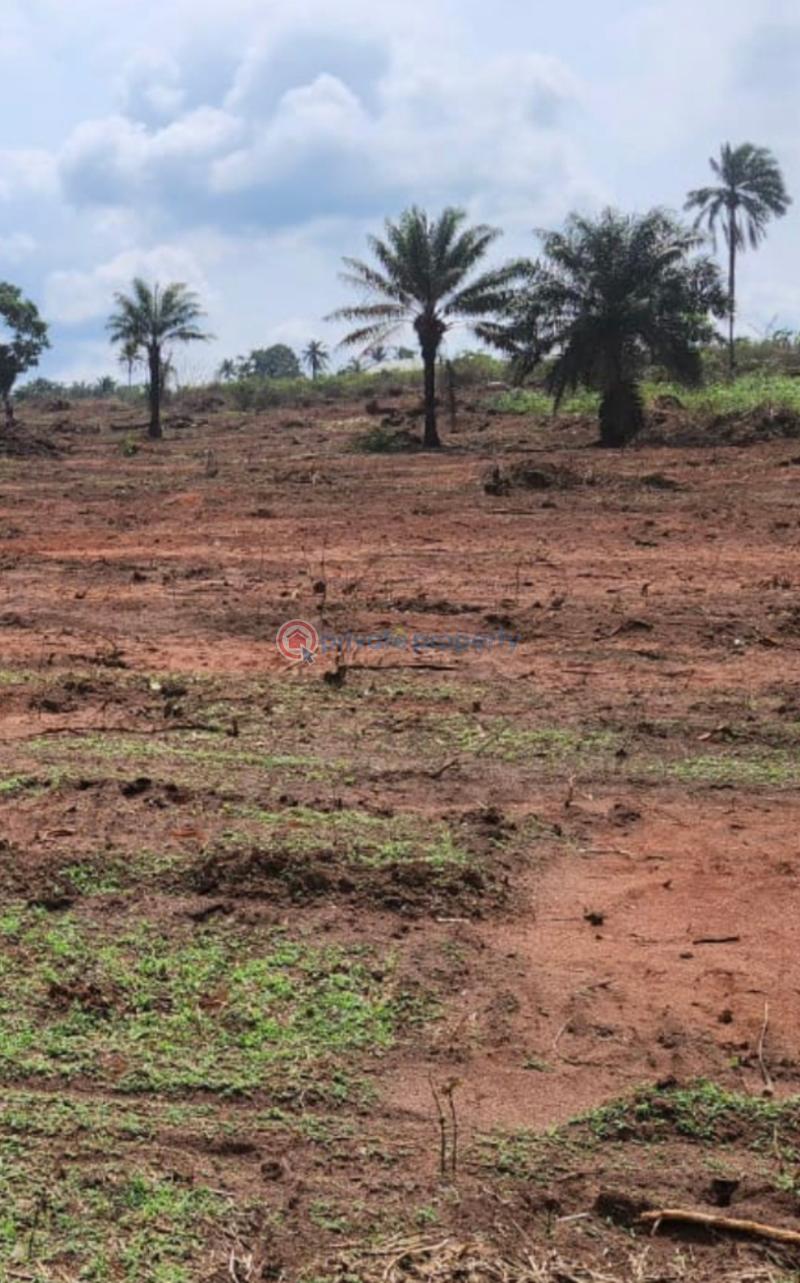 Mixed use Land For Sale Ivy Estate Erote Ajata Road,umuahia Abia State Bende Abia - 5