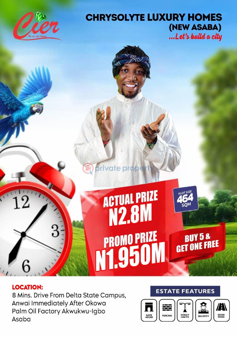 Mixed use Land For Sale Akwuwu Igbo Asaba Oshimili North Delta - 2