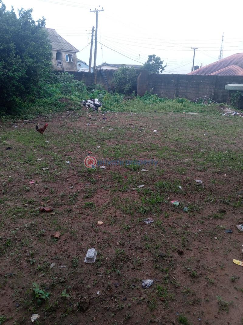 2 bedroom Bungalow For Sale Ekoro Abule Egba Lagos - 2