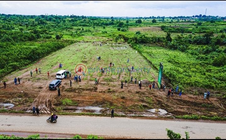 Residential Land For Sale Lagelu Ibadan Lagelu Oyo - 4