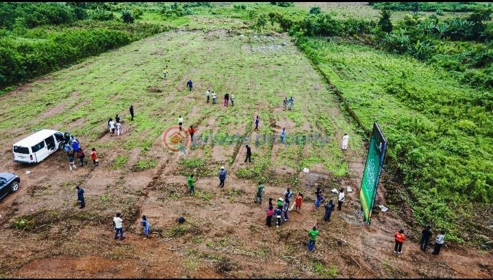 Residential Land For Sale Lagelu Ibadan Lagelu Oyo - 5
