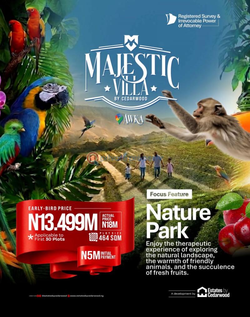 Mixed use Land For Sale By Amawbia Flyover / Close To Ngozika And Dubai Estates Awka South Anambra - 4