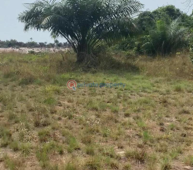Landed property - 1 Mixed use Land For Sale Asaba Delta - 1