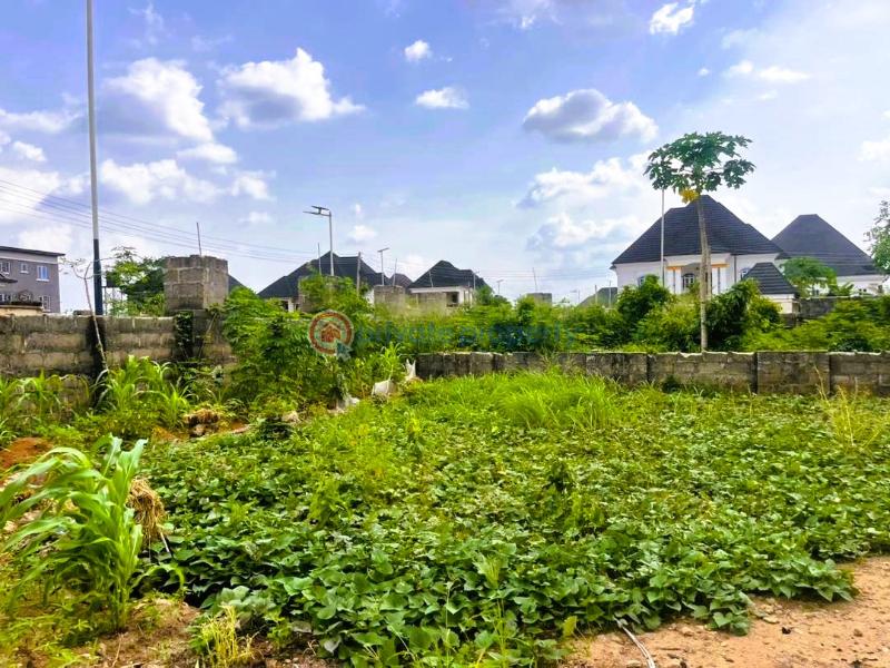 Residential Land For Sale Okohia Estate, World Bank New Owerri Owerri Imo - 0