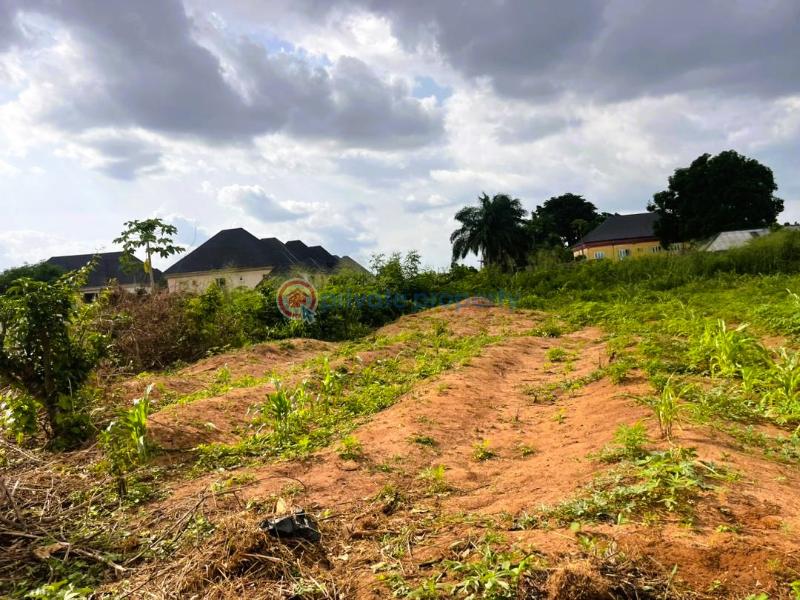 Residential Land For Sale Okohia Estate, World Bank New Owerri Owerri Imo - 2