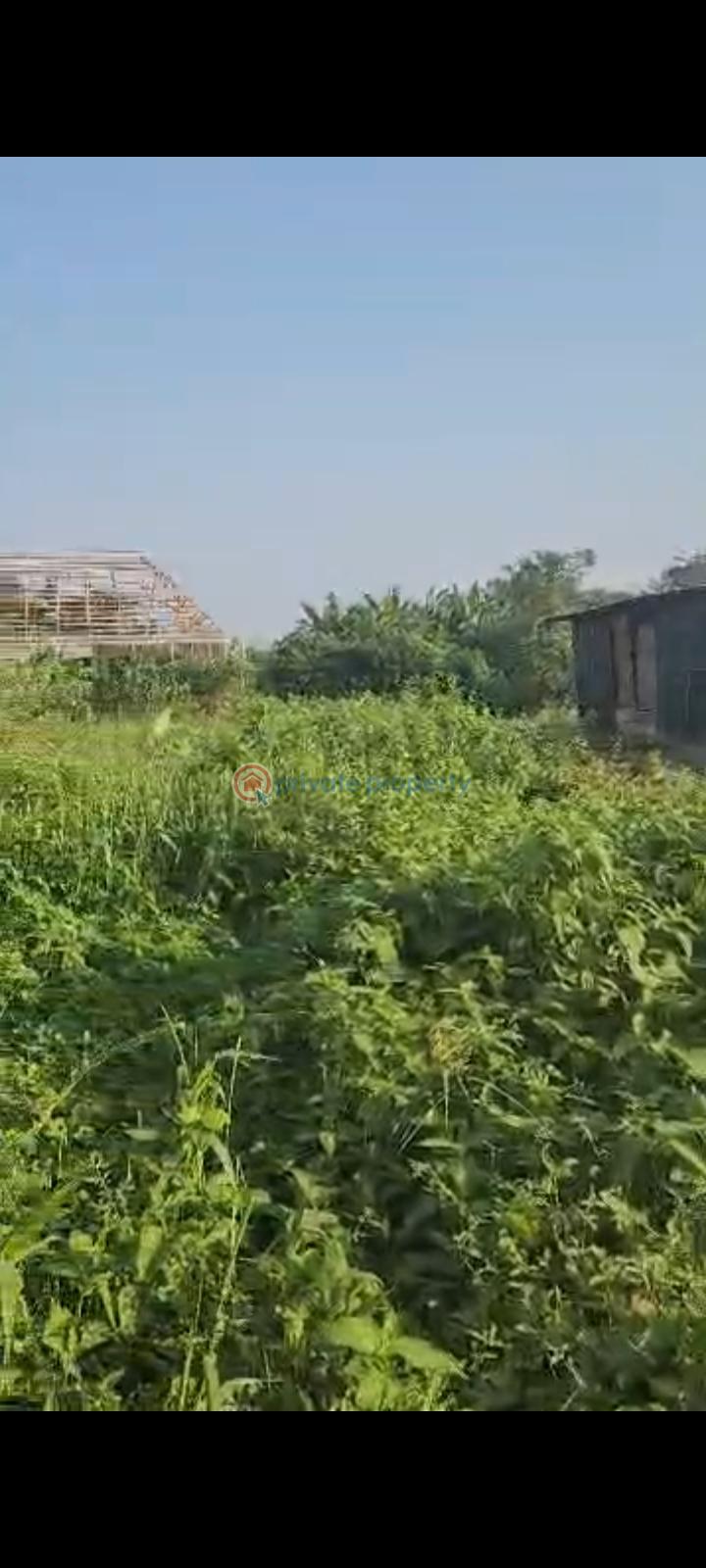 Residential Land For Sale Ebute Igbogbo Road Igbogbo Opposite Aud Primary Igbogbo Ikorodu Lagos - 0