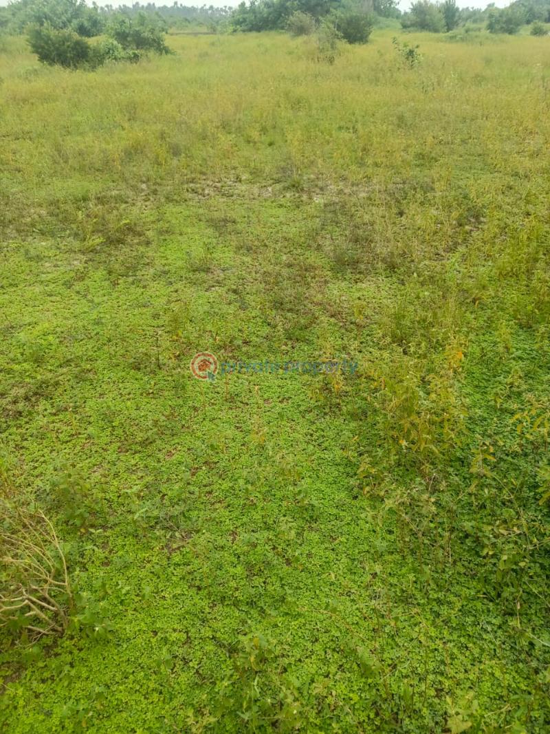 Residential Land For Sale Ogombo Town Ogombo Ajah Lagos - 1