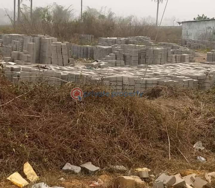 Land For Sale Behind Abuja Campus, Uniport, Choba Port Harcourt Rivers - 11