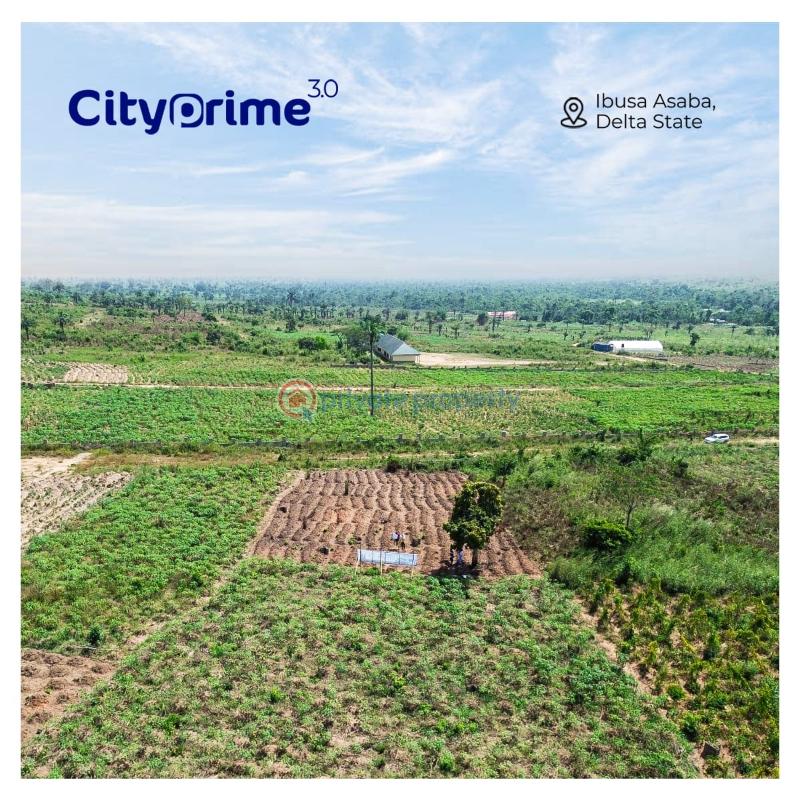 Residential Land For Sale City Prime Estate Located At Igbuzo Selling Fast Oshimili Delta - 0