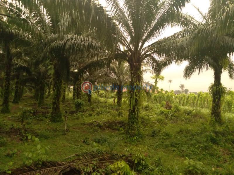For sale Land Ikhueniro Village Benin Sapele Bypass, Benin City Edo