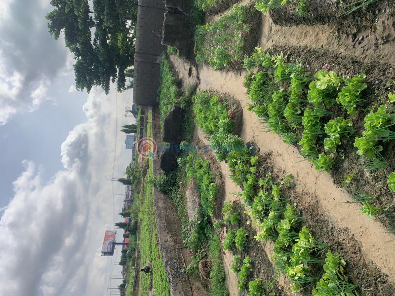 Mixed use Land For Sale Ogudu Express Ogudu Road Ojota Lagos - 0