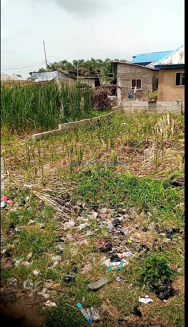 Joint Venture Land For Rent Shibiri Ajangbadi Ojo Lagos - 2
