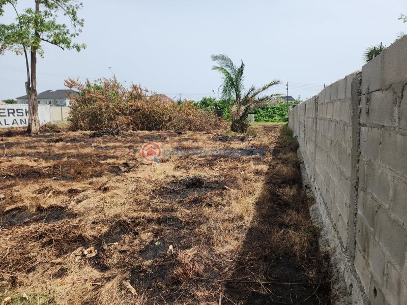 Joint Venture Land For Sale Otunba Idowo Soyege Lekki Expressway Lagos - 2