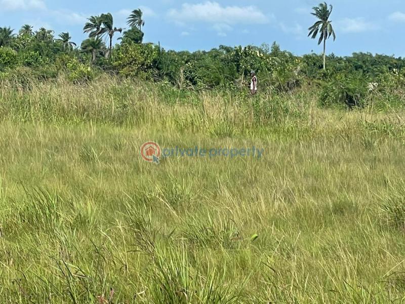 Residential Land For Sale Ibeju-Lekki Lagos - 4