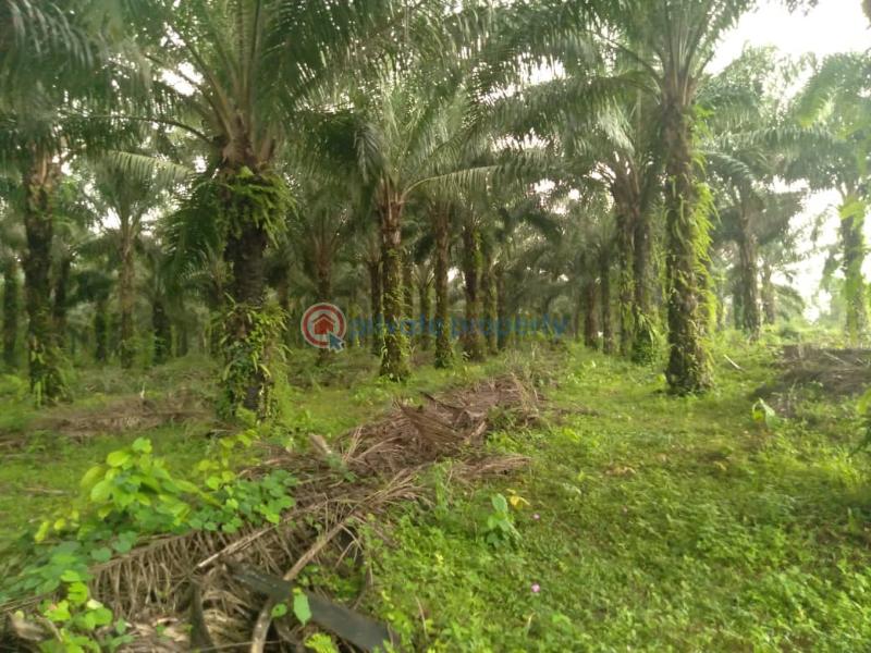 For sale Land Ikhueniro Village Benin Sapele Bypass, Benin City Edo