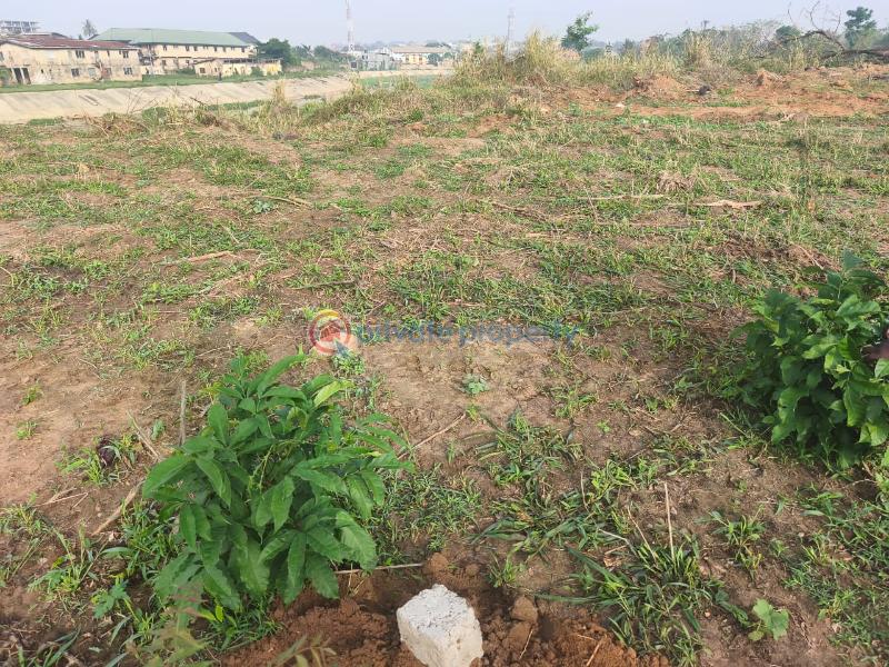 Land For Sale Omololu Olunloyo Gra Ibadan Oyo - 3