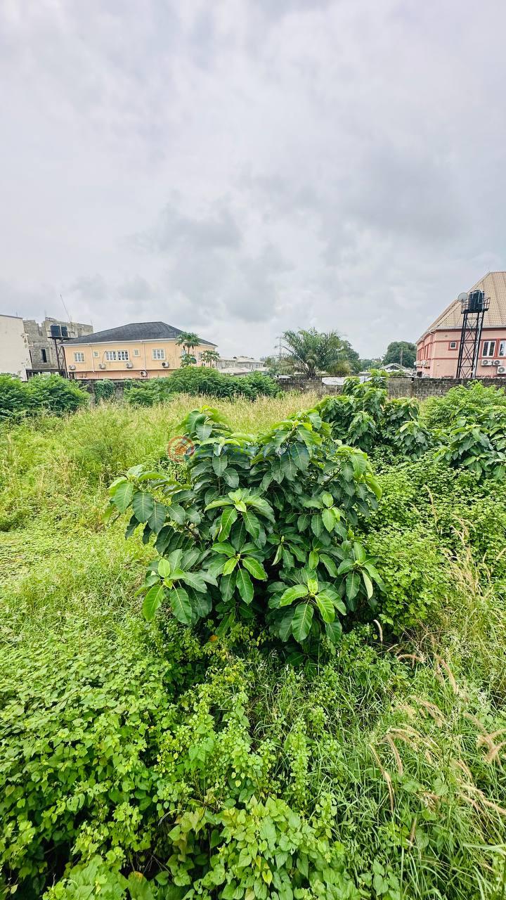 Residential Land For Sale Orchid Road, Chevron Drive Lekki Lagos - 11