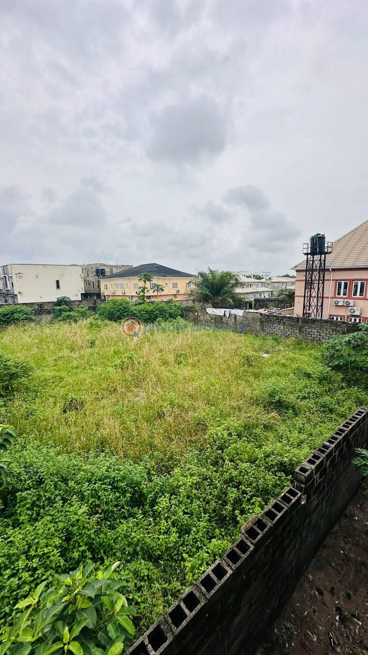 Residential Land For Sale Orchid Road, Chevron Drive Lekki Lagos - 4