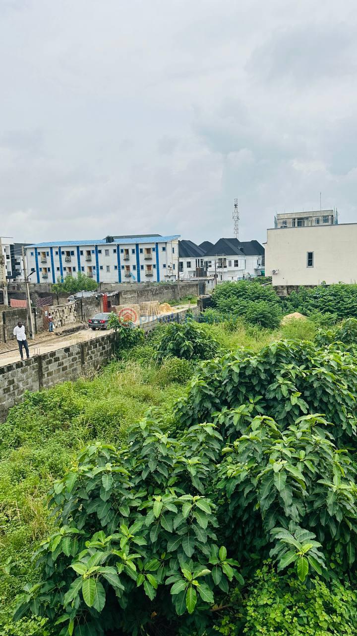 Residential Land For Sale Orchid Road, Chevron Drive Lekki Lagos - 2