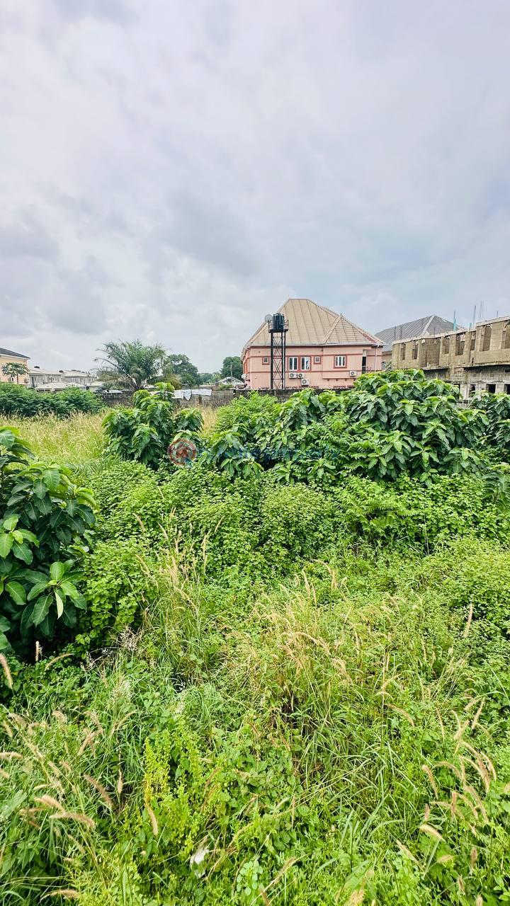 Residential Land For Sale Orchid Road, Chevron Drive Lekki Lagos - 8