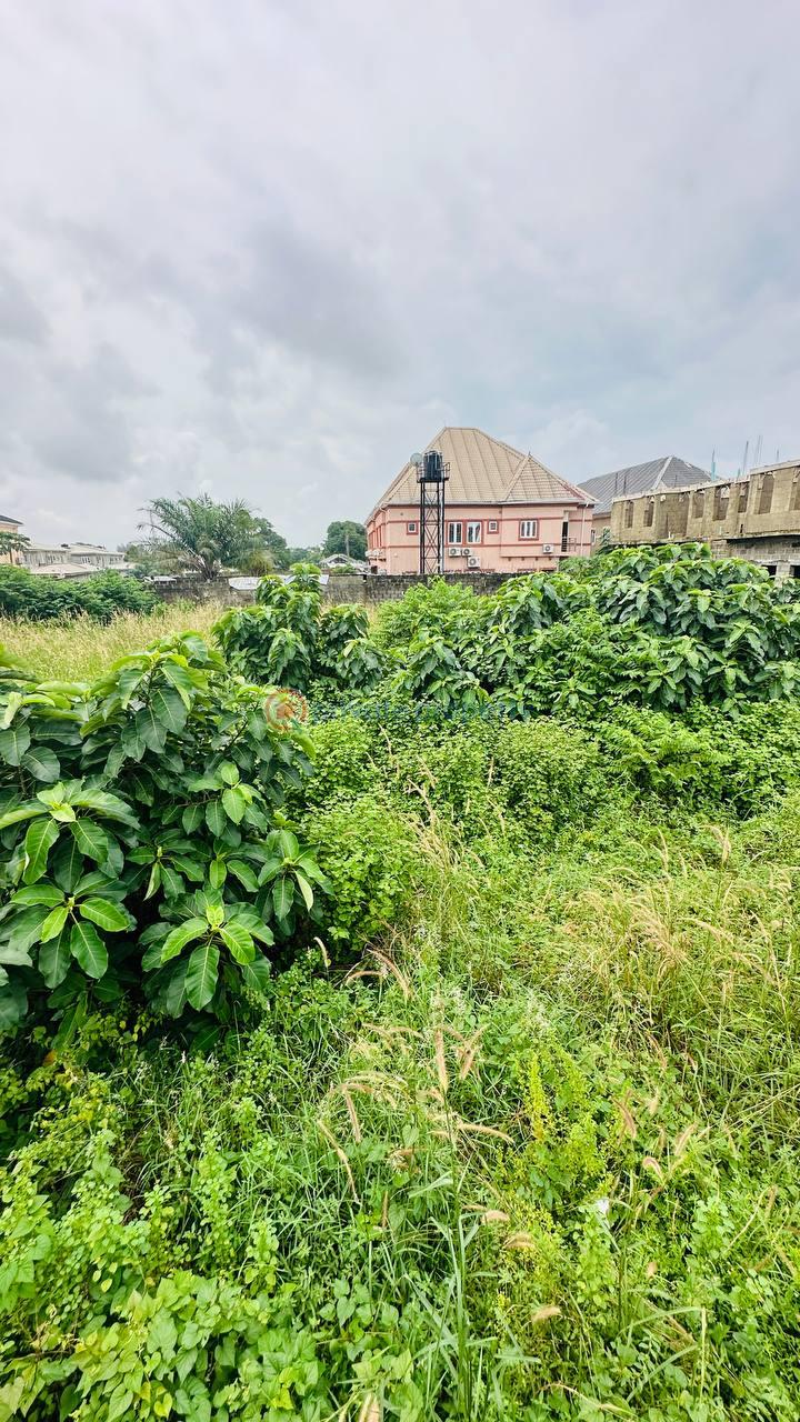 Residential Land For Sale Orchid Road, Chevron Drive Lekki Lagos - 10