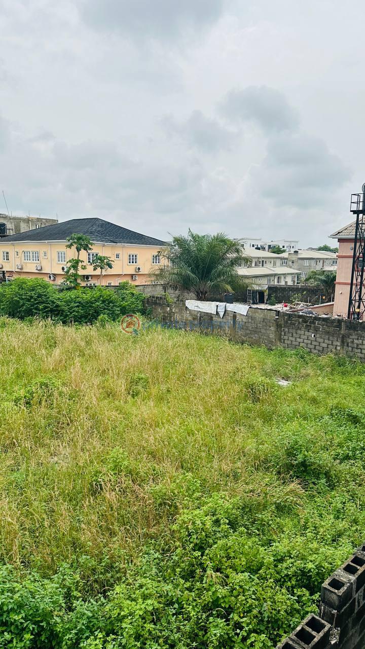 Residential Land For Sale Orchid Road, Chevron Drive Lekki Lagos - 5