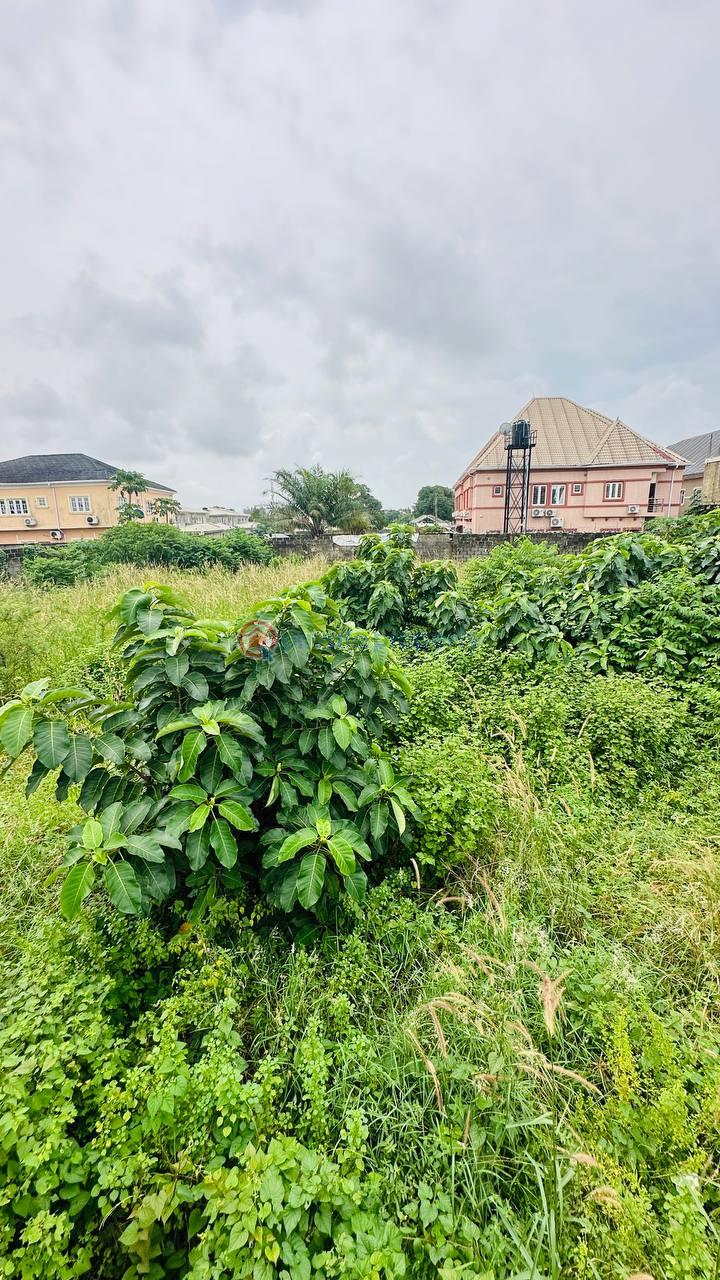 Residential Land For Sale Orchid Road, Chevron Drive Lekki Lagos - 9