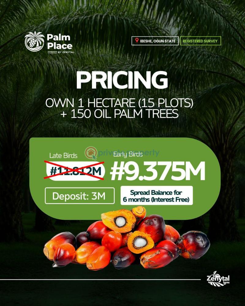 Commercial Land For Sale Palm Place Ibeshe Ogun State Ogun Ogun area  - 0