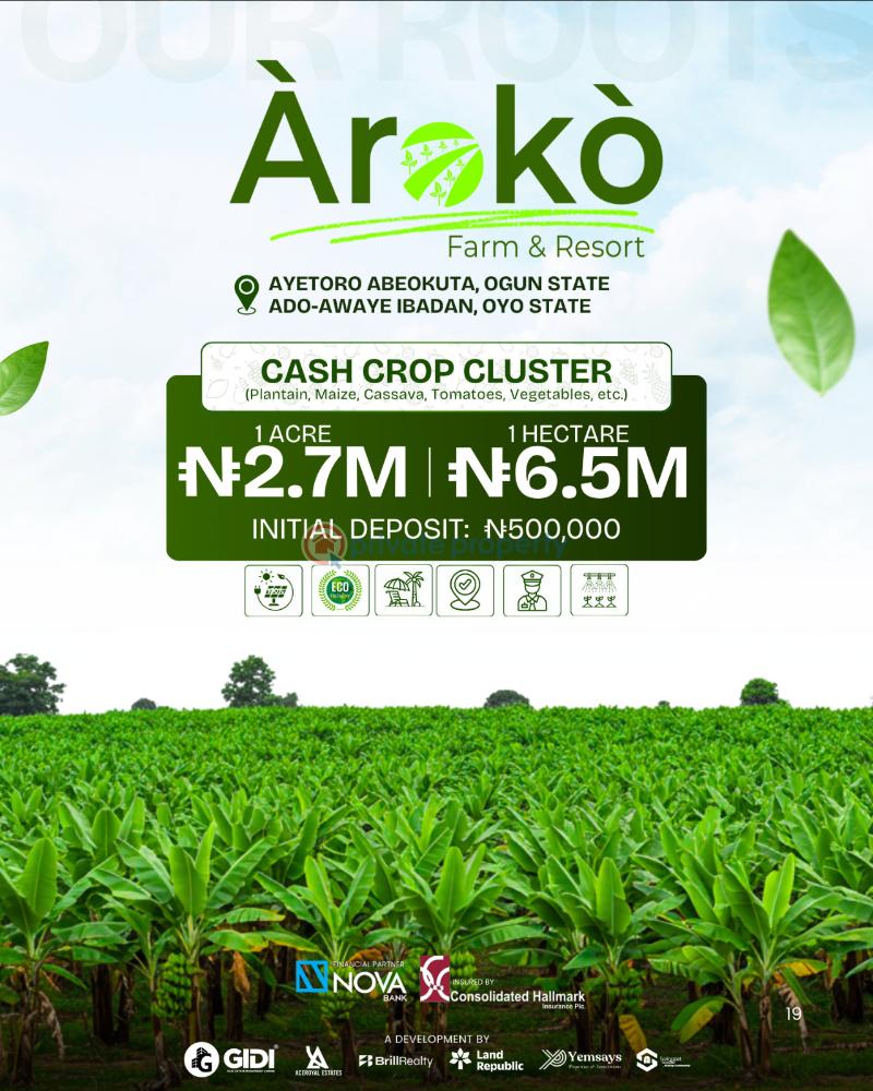 Commercial Land For Sale Aroko Farm Abeokuta Cash Crops Cluster Adatan Abeokuta Ogun